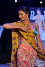 Model walk the ramp for Anupama Dayal Show at IRFW 2012 Day 1 in Goa on 28th Nov 2012 (108).JPG